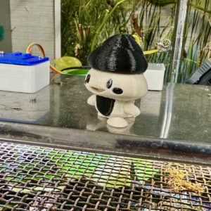 助教の着任について