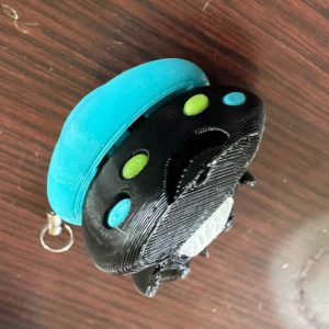 M: 井上 智博 (知能ソフトウェア工学)